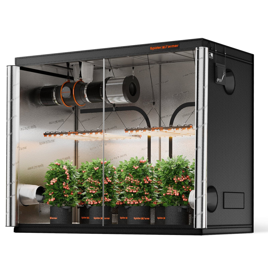 Spider Farmer Growbox (300x150x200 cm) – 2