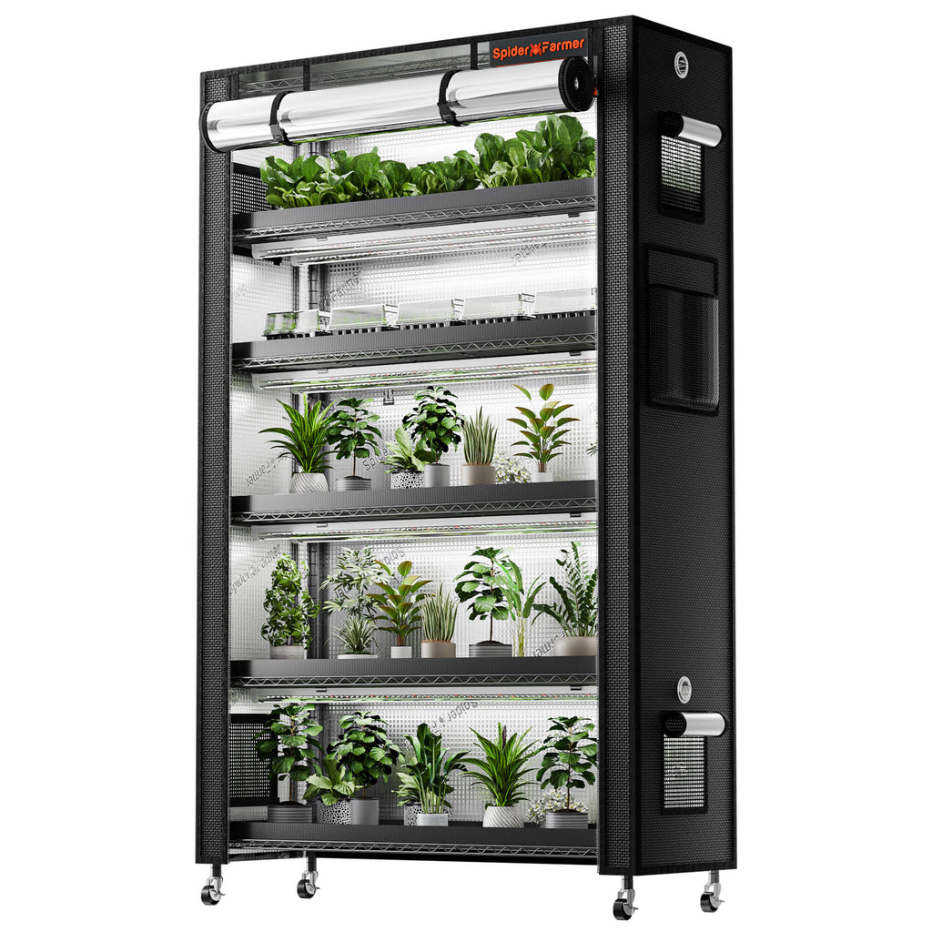 Spider Farmer Anzucht/Stecklinge Komplettset (110x40x180 cm) 220 Watt LED – 1