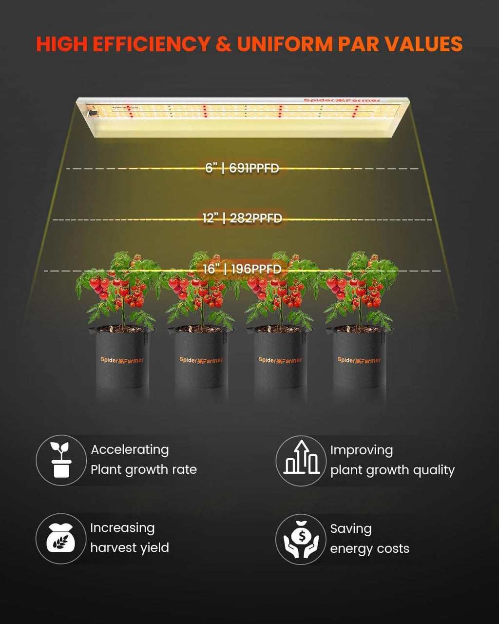 Spider Farmer SF300 LED 33 Watt – 3
