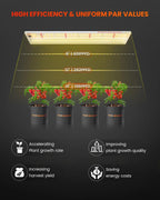 Spider Farmer SF300 LED 33 Watt – 3