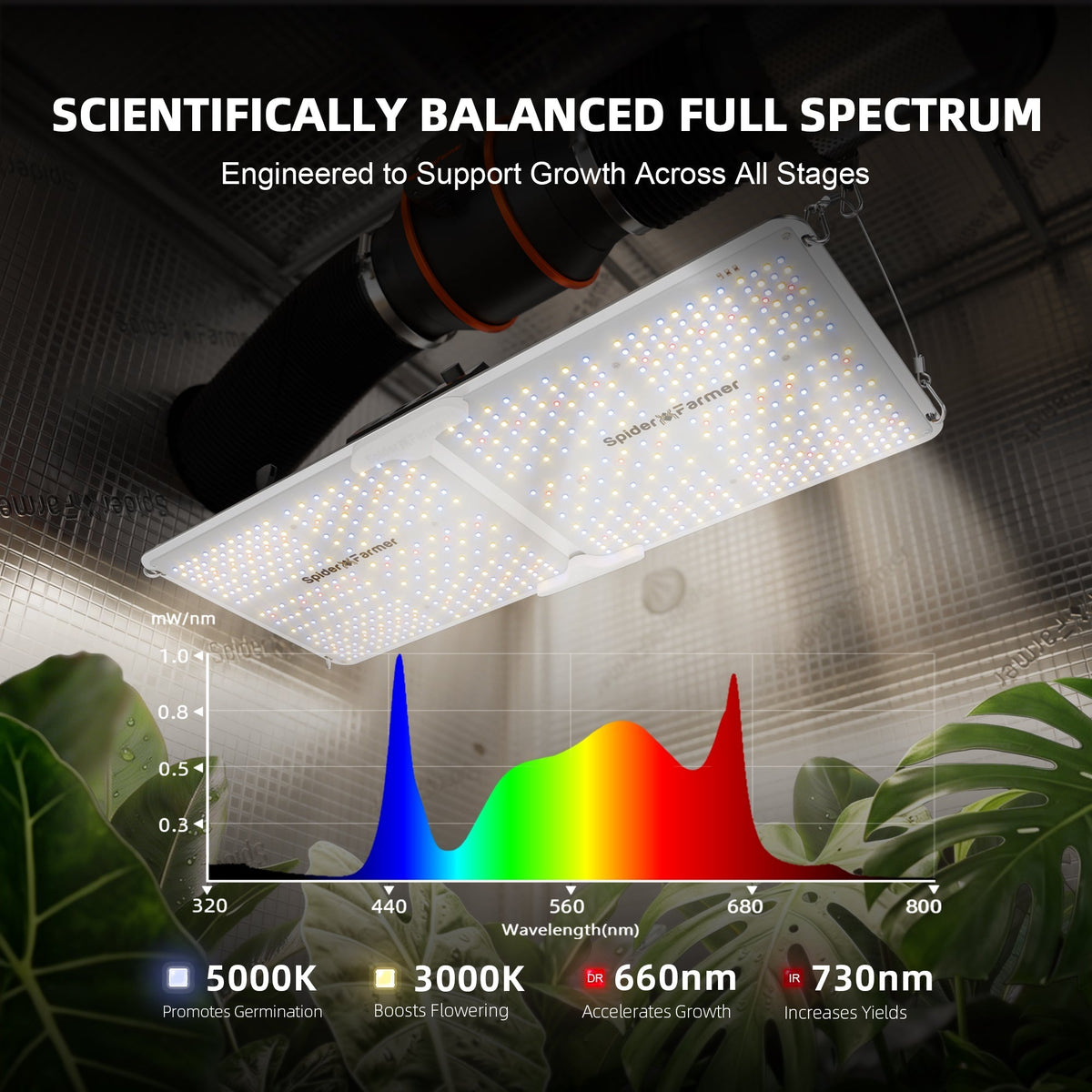 Spider Farmer SF2000 LED 200 Watt – 2