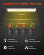 Spider Farmer SF600 LED 74 Watt – 3
