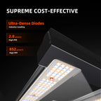 Spider Farmer G3000 EVO LED 300 Watt – 7