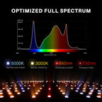 Spider Farmer Komplettset (150x150x200 cm) 450 Watt SF4000 EVO LED – 7