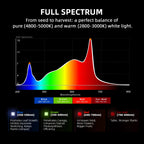 Spider Farmer Hydroponik (DWC) Komplettset (120x120x200 cm) 480 Watt G5000 EVO LED mit GGS für smarte Steuerung und 4 Töpfen – 13