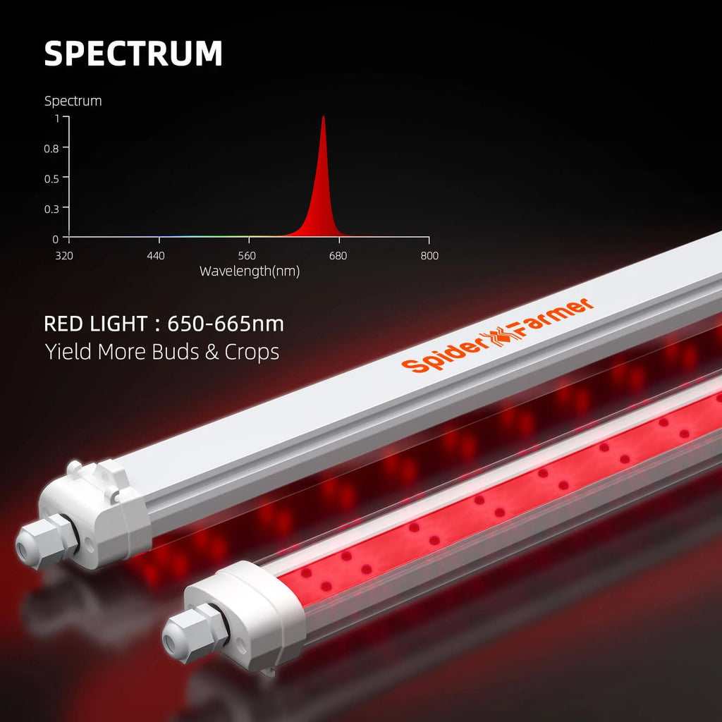 Spider Farmer GlowR80 Deep Red LED Zusatzbeleuchtung 80 Watt – 4