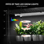 Spider Farmer Anzucht/Stecklinge Komplettset (110x40x180 cm) 220 Watt LED – 4