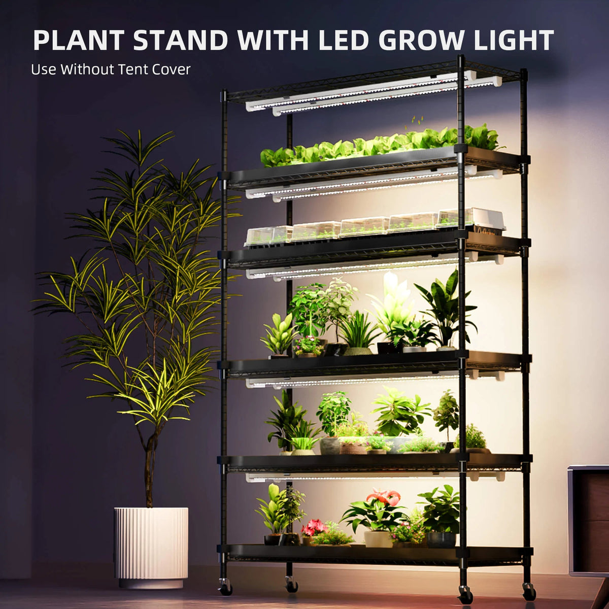 Spider Farmer Anzucht/Stecklinge Komplettset (110x40x180 cm) 220 Watt LED – 8