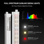 Spider Farmer GlowBar20 Vollspektrum LED Zusatzbeleuchtung 80 Watt – 4