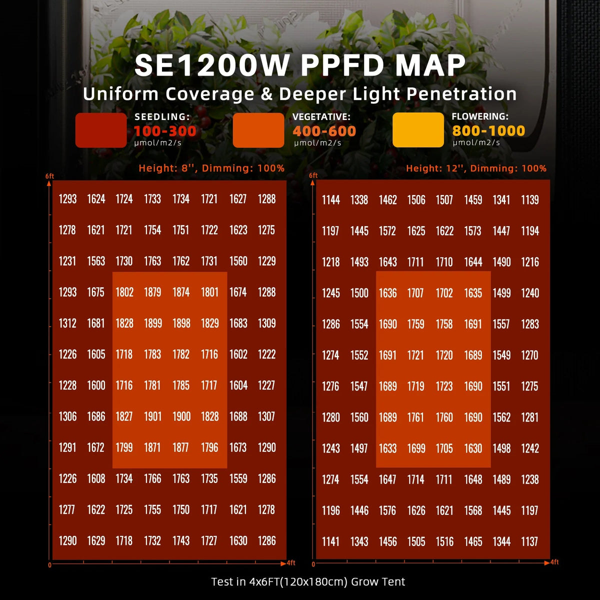 Spider Farmer SE1200W EVO LED 1200 Watt – 5
