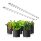 Spider Farmer Glow80 Vollspektrum LED Zusatzbeleuchtung 80 Watt – 1