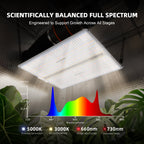 Spider Farmer SF4000 LED 450 Watt – 2