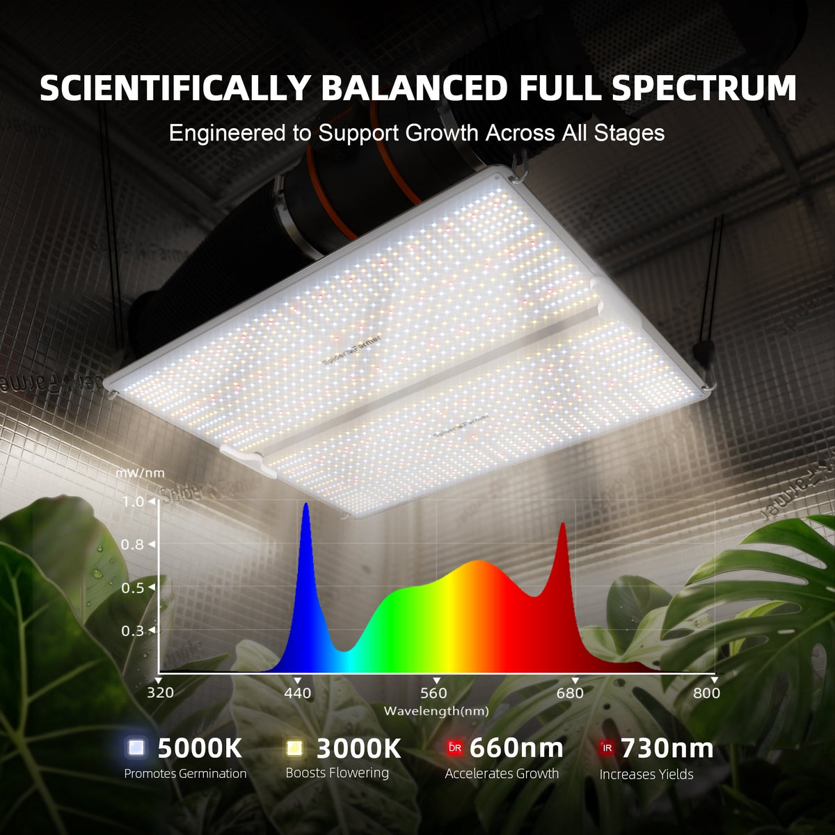 Spider Farmer SF4000 LED 450 Watt – 2