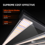 Spider Farmer Komplettset (150x150x200 cm) 800 Watt G8600 EVO LED mit GGS für smarte Steuerung – 7