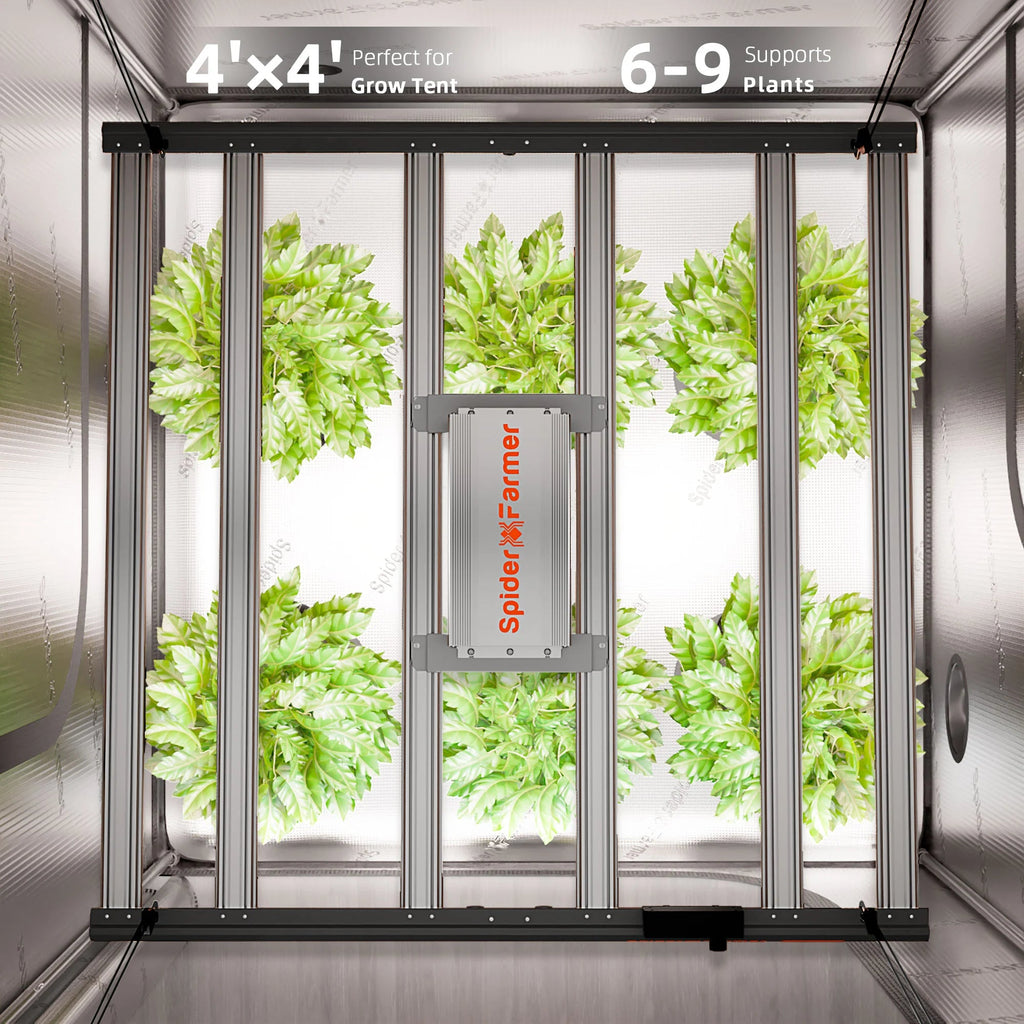 Spider Farmer Hydroponik (DWC) Komplettset (120x120x200 cm) 480 Watt G5000 EVO LED mit GGS für smarte Steuerung und 4 Töpfen – 20