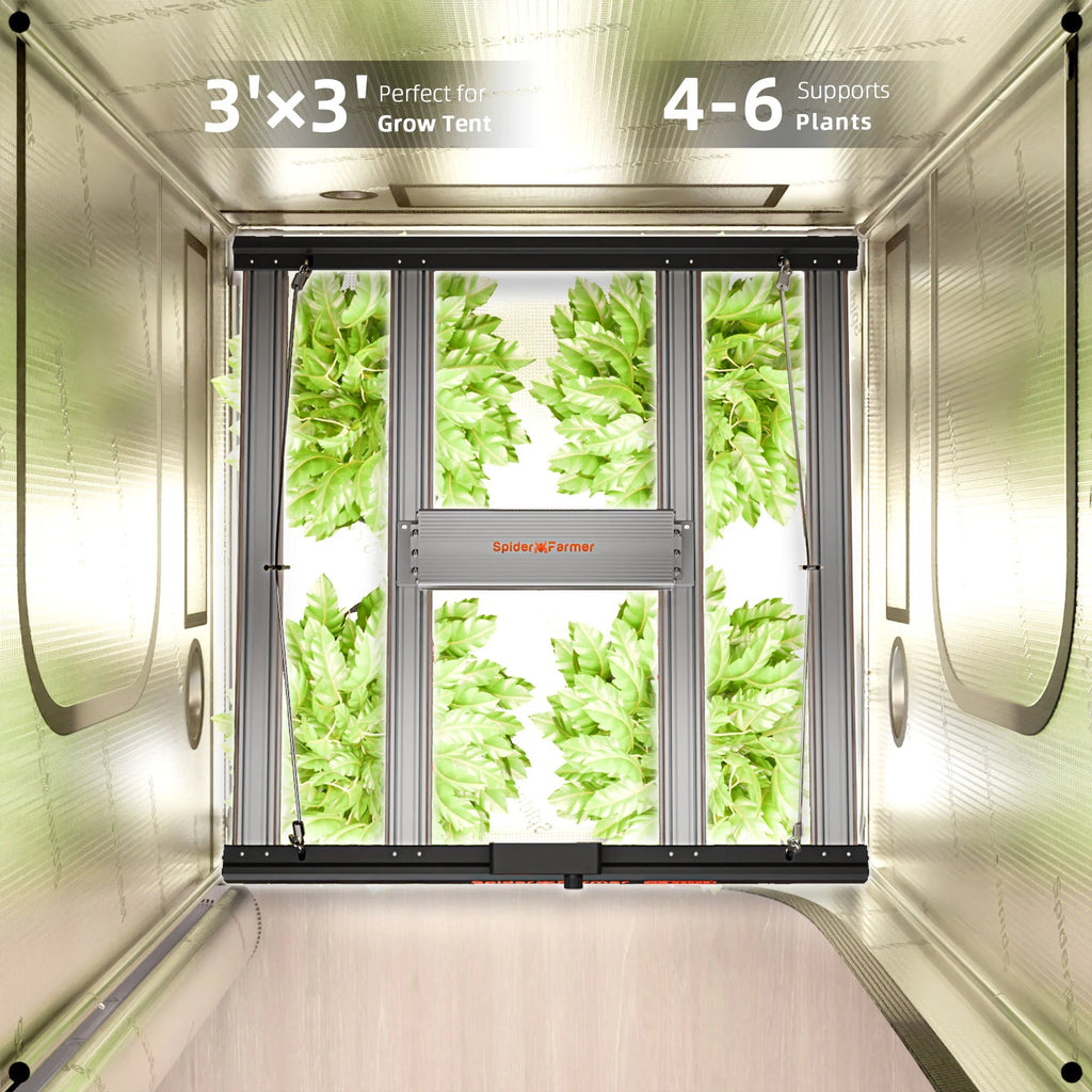 Spider Farmer G3000 EVO LED 300 Watt – 12