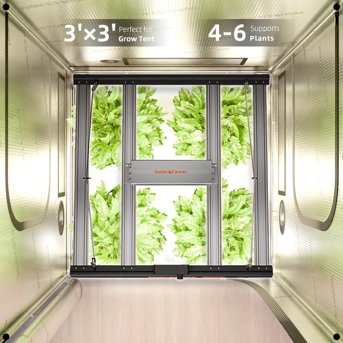 Spider Farmer G3000 EVO LED 300 Watt – 12