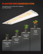 Spider Farmer SF300 LED 33 Watt – 4