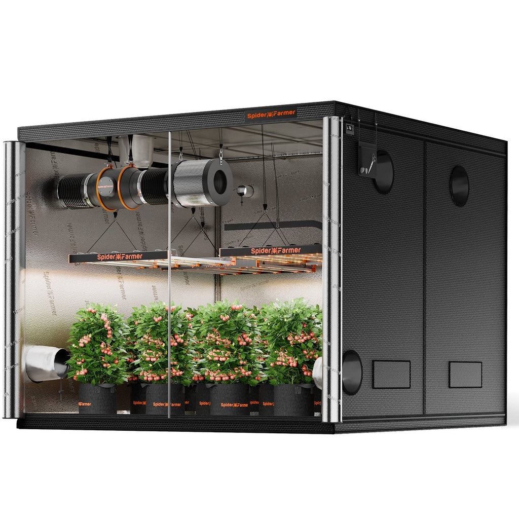 Spider Farmer Growbox (240x240x200 cm) – 2
