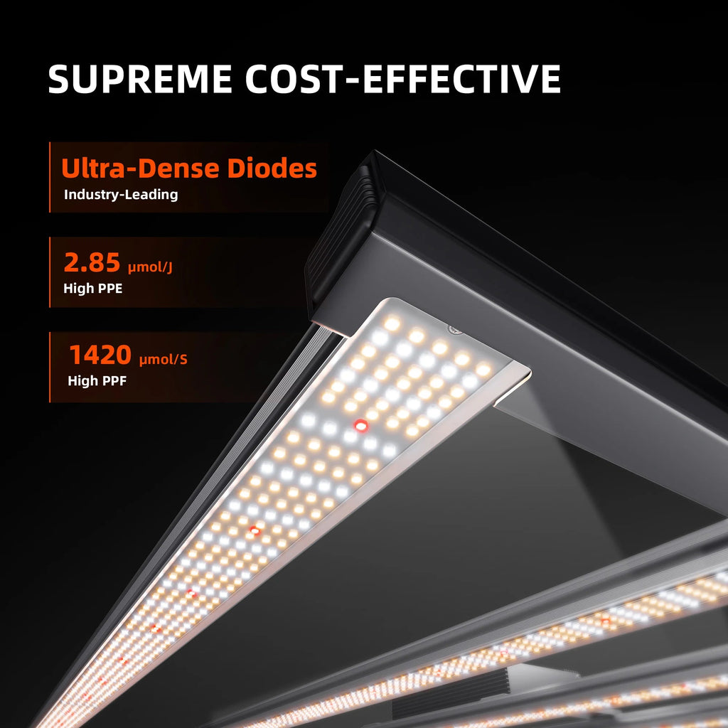 Spider Farmer Hydroponik (DWC) Komplettset (120x120x200 cm) 480 Watt G5000 EVO LED mit GGS für smarte Steuerung und 4 Töpfen – 12