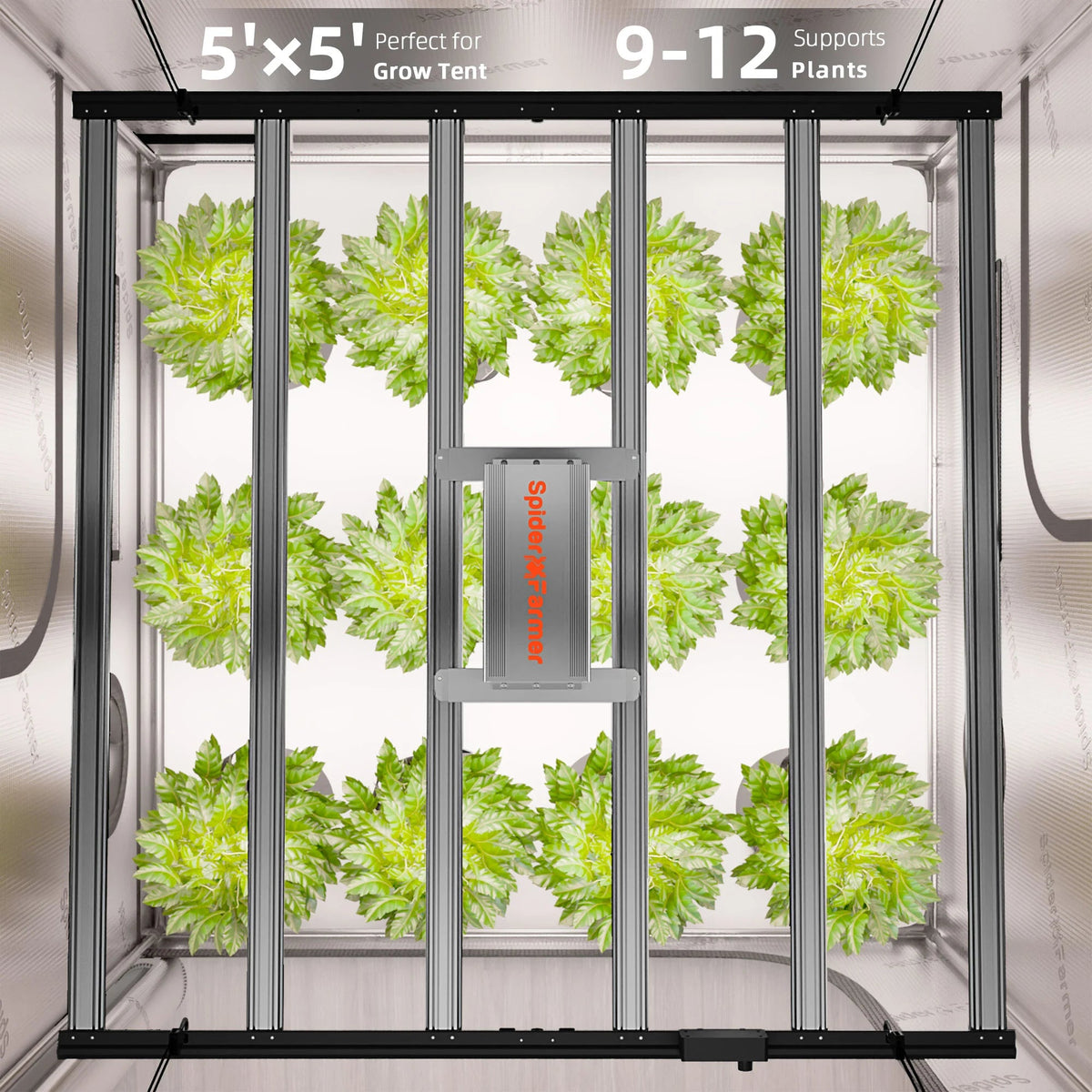 Spider Farmer Komplettset (150x150x200 cm) 800 Watt G8600 EVO LED mit GGS für smarte Steuerung – 6