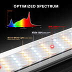 Spider Farmer SE7000 EVO LED 730 Watt – 6