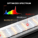 Spider Farmer Komplettset (140x70x200 cm) 320 Watt SE4500 EVO LED mit GGS für smarte Steuerung – 7
