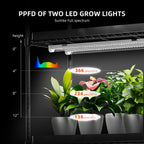 Spider Farmer Anzucht/Stecklinge Komplettset (70x35x150 cm) 108 Watt LED – 4