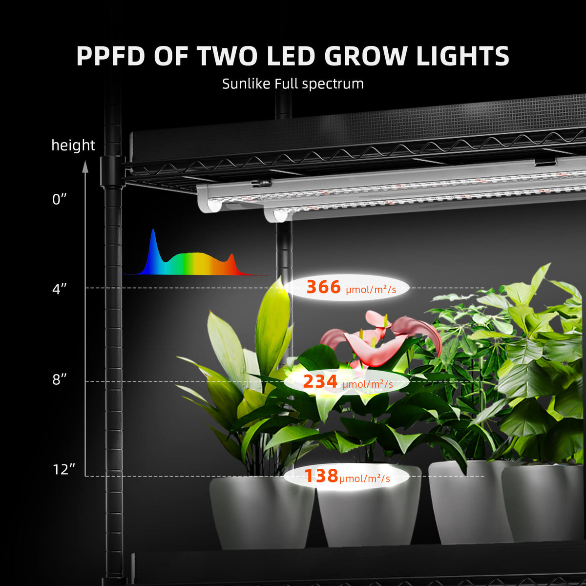 Spider Farmer Anzucht/Stecklinge Komplettset (70x35x150 cm) 108 Watt LED – 4