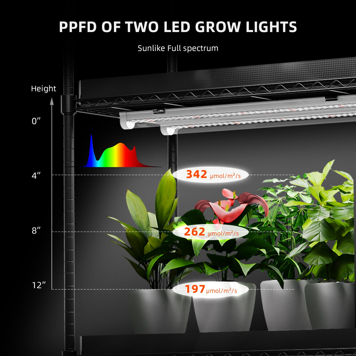 Spider Farmer GlowBar20 Vollspektrum LED Zusatzbeleuchtung 80 Watt – 3