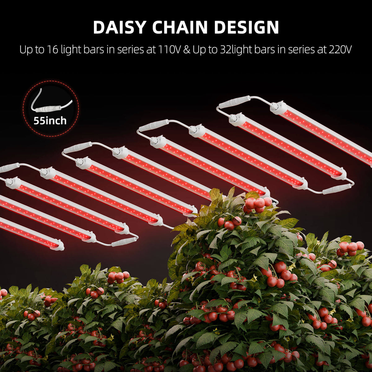 Spider Farmer GlowR80 Deep Red LED Zusatzbeleuchtung 80 Watt – 5