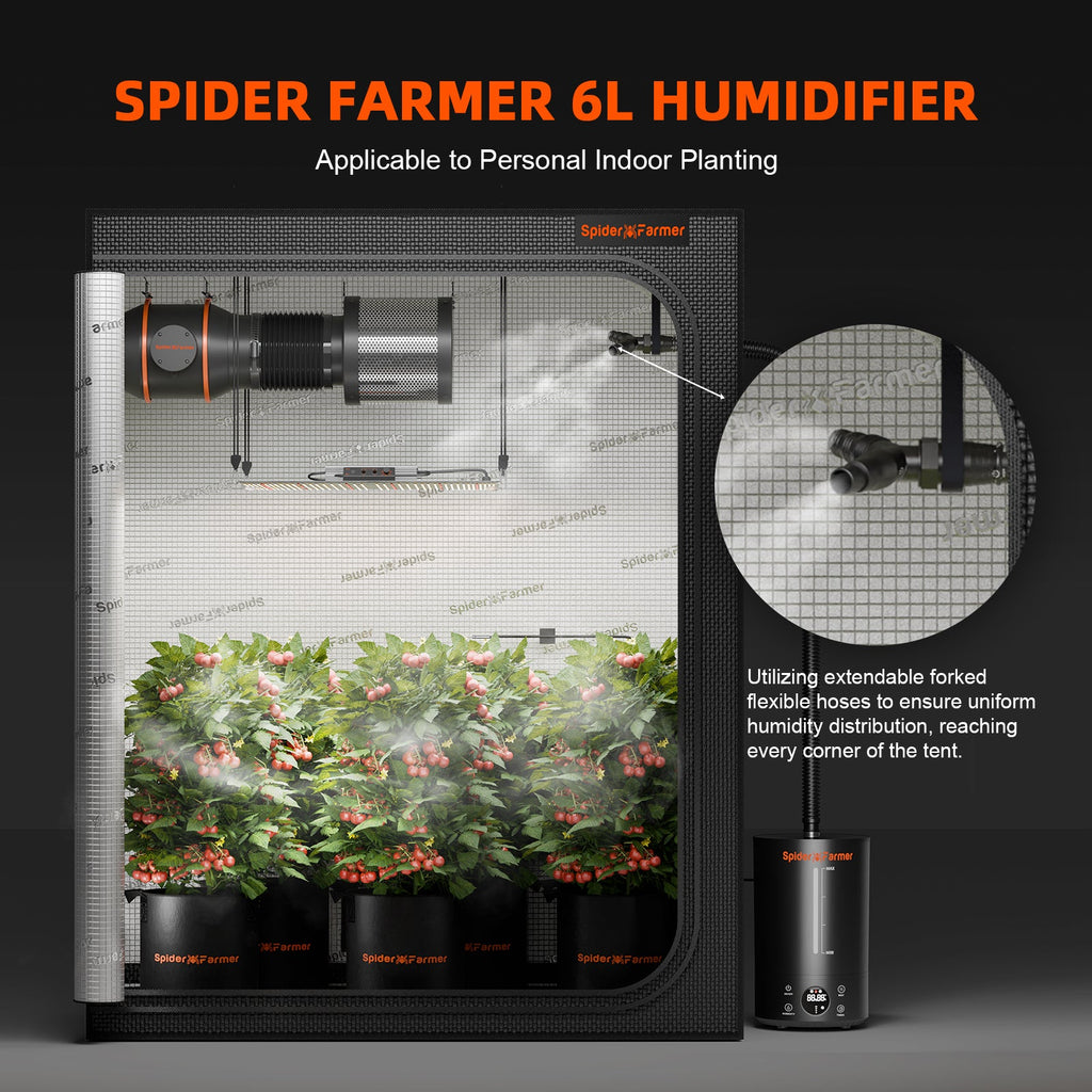 Spider Farmer Komplettset (90x90x180 cm) 300 Watt SE3000 EVO LED mit GGS für smarte Steuerung und Luftbefeuchter – 4